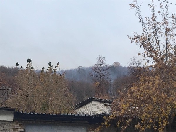 В Красноглинском районе горит 1 800 кв. м леса