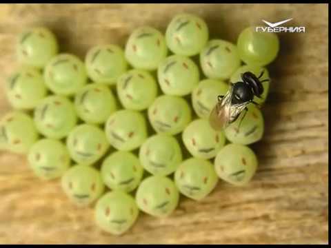 Удачные заметки 10.10.2017. Готовимся к зиме