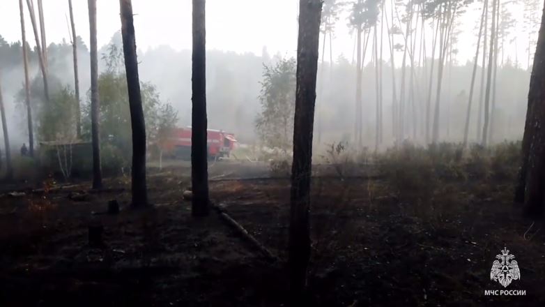 В Самаре огонь уничтожил 1,6 гектара Задельненского лесничества