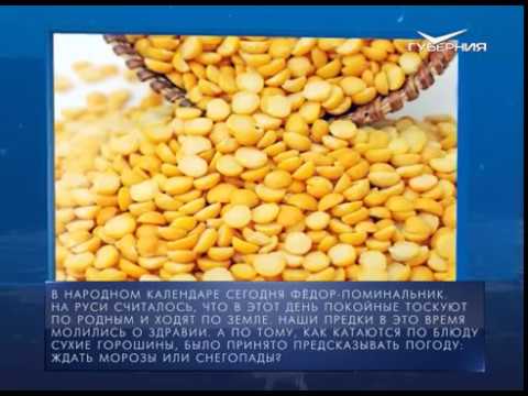 Календарь губернии от 08.02.2018