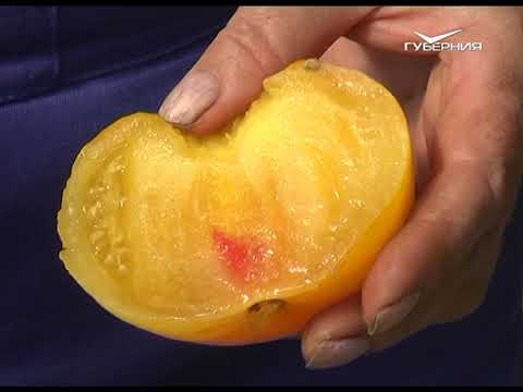 Как подготовить грядки к осени. Дачные советы