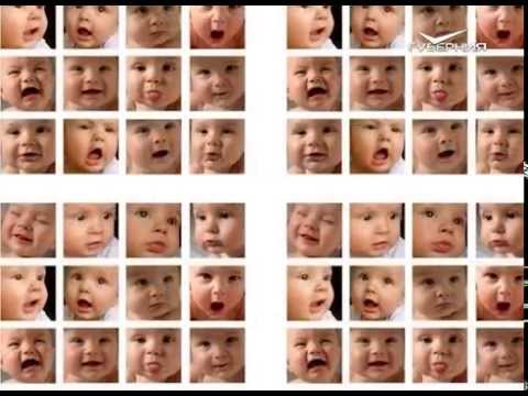 Путь паломника 8.08.2015