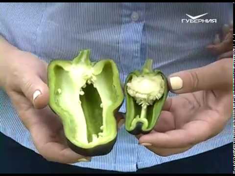 Лучшие способы посадки сладкого перца и борьба со слизнями. Удачные заметки от 14.08.2018