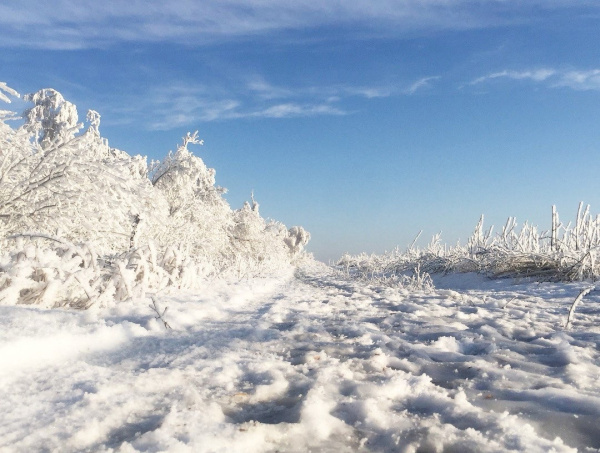 Самарским стюардам, ехавшим с матча Россия - Куба, помогли вырваться из снежного плена