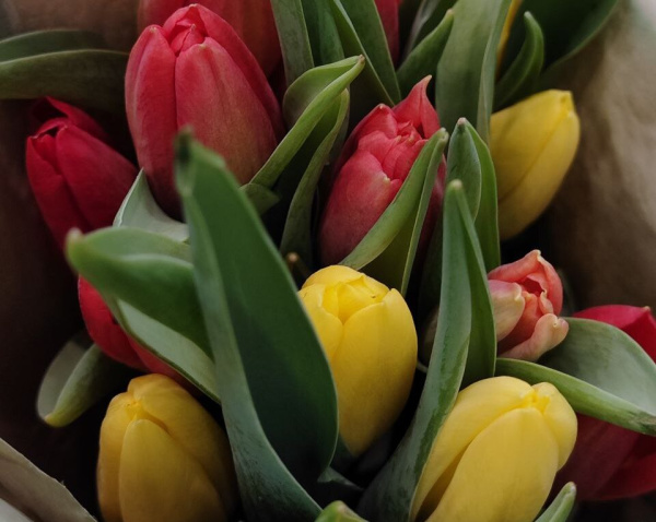 Каждый четвертый мужчина в Самаре считает, что забыть про 8 Марта - опасно