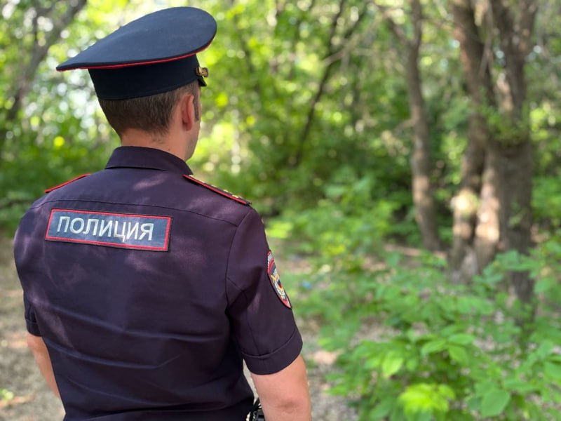 В Самарской области полицейские спасли заблудившегося грибника