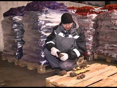 Удачные заметки 21.02.2017. Пернатые санитары. Прививка плодовых деревьев. Дачные советы