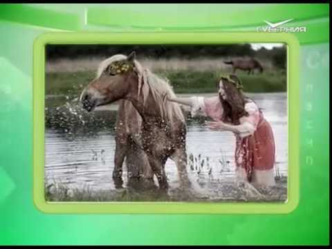 Календарь губернии 31.08.2016