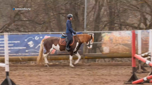 Оставшиеся без родителей подростки посетили конный клуб в Самаре