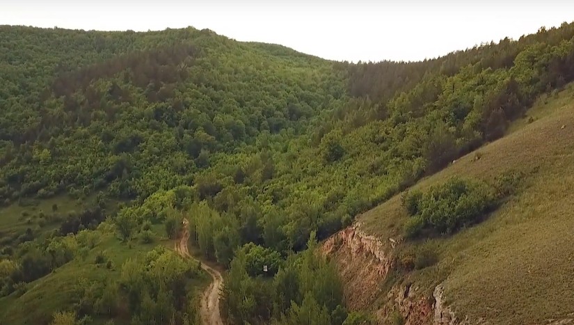 Название статьи