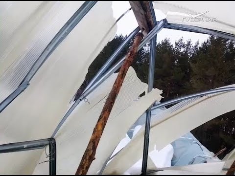 Что делать при обрушении теплицы. Удачные заметки