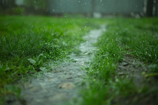 Дождь с грозой: синоптики рассказали о погоде в Самарской области на 19 июня