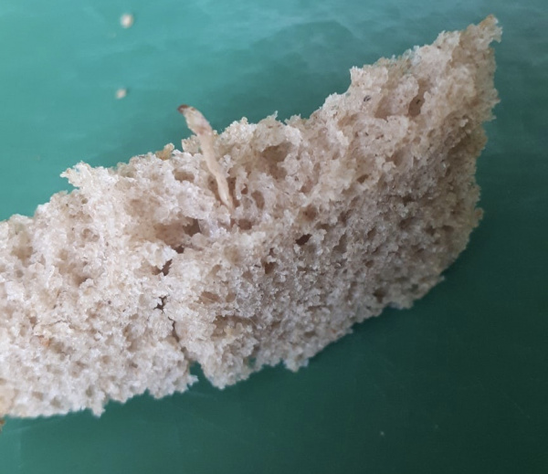 Жители Сызрани в ржаном хлебе обнаружили червяка