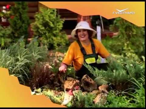 Дачные советы 27.04.2017. Высадка рассады