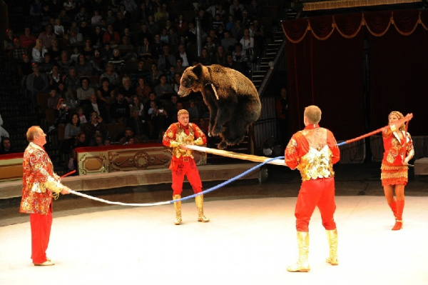 Росгосцирк сообщил, когда региональные цирки откроют новый сезон