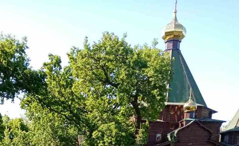 Звонари Самарской области показали свое мастерство 