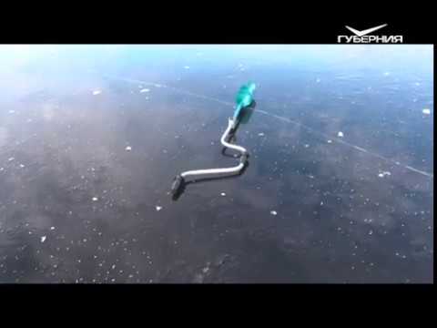 Первая наледная рыбалка. Рыбацкое счастье от 20.11.2018