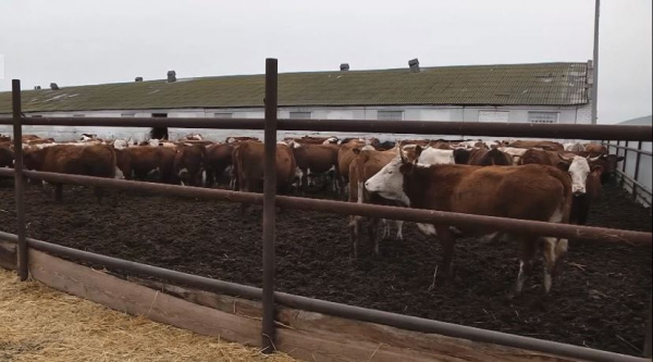 В России пройдет экономическая перепись малого бизнеса