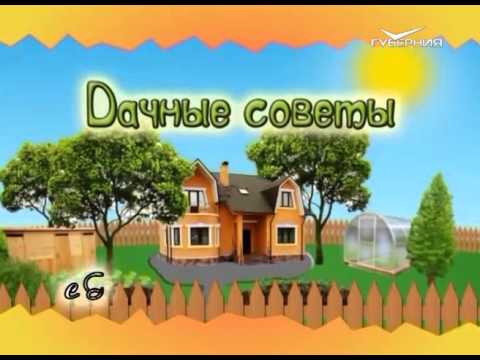 Дачные советы 3.12.2015 
