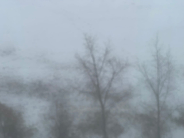 На Самарскую область 2 марта опустится густой туман