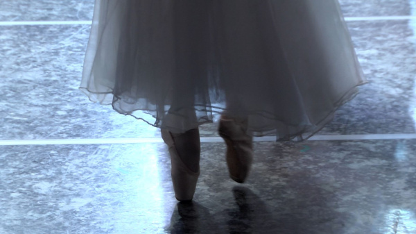 На сцене САТОБа выступили артисты Большого и Мариинского театров