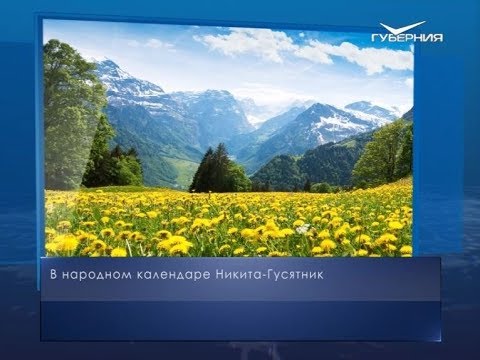 Никита-Гусятник. Календарь губернии от 10 июня