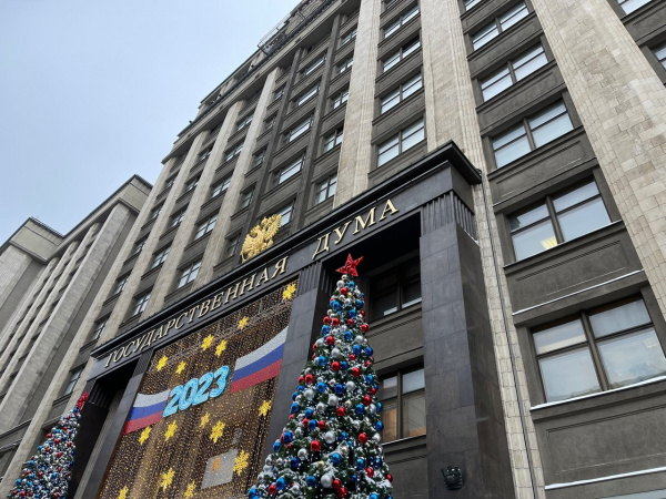 В Госдуме предложили проверить сетевые магазины к новогодним праздникам