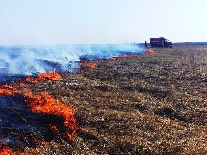 В Самарской области за пять дней произошло 128 пожаров из-за пала сухой травы