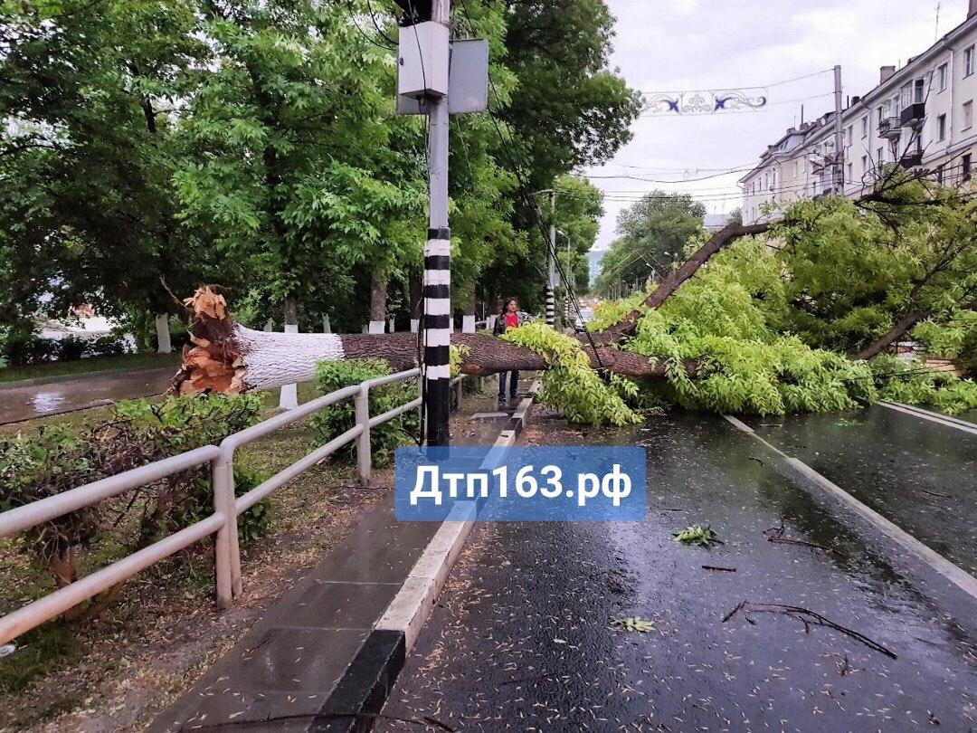 Ураган вырвал в Самаре дерево с корнем и повалил прямо на ехавший по дороге автомобиль