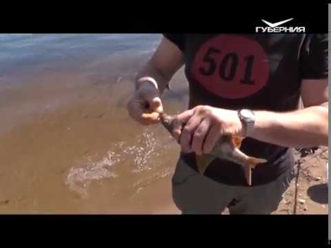 Рыбалка с берега. Рыбацкое счастье