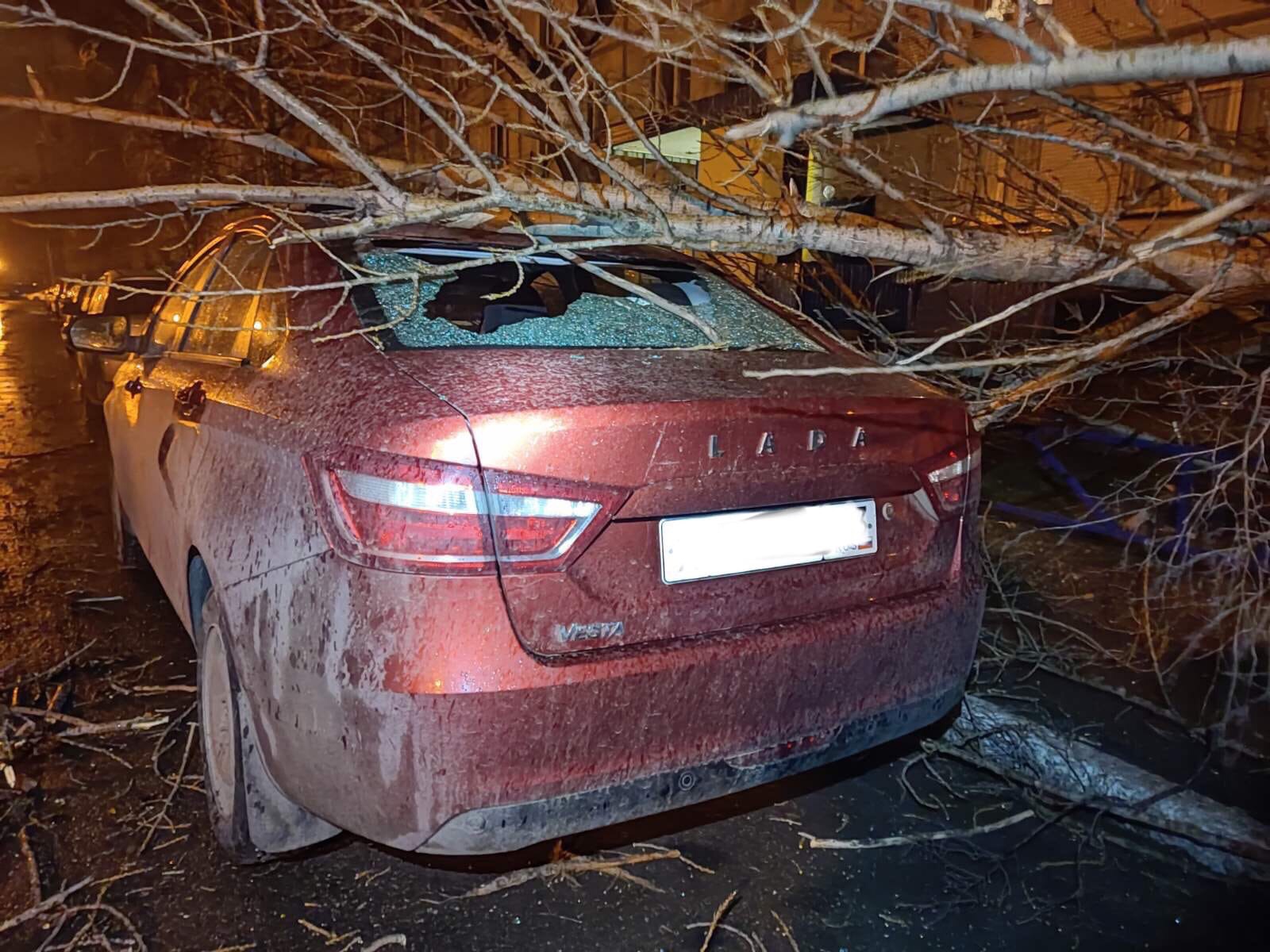 1 30 текущее видео. Поврежденная машина. Ураган в Самарской области. Дерево упало на авто. Тольятти ветер.