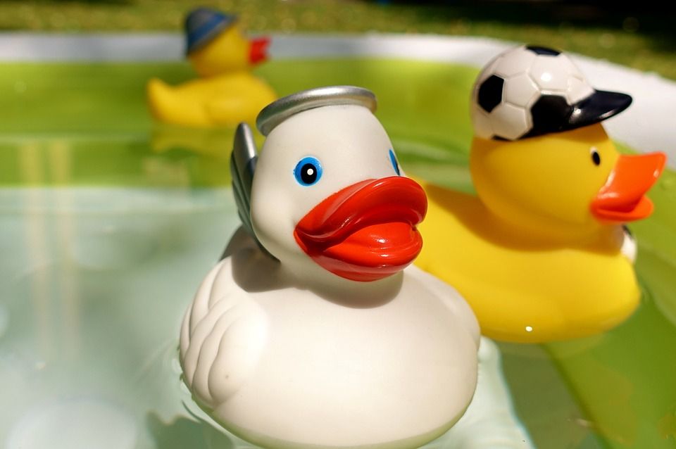 rubber-ducks-3542670_960_720.jpg