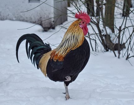 01B19E68-3065-4BE5-BEDC-D90DD2A11EDE.jpeg 01B19E68-3065-4BE5-BEDC-D90DD2A11EDE.jpeg