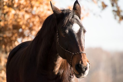 9729EE57-2EB8-41AC-A78F-1A092F44DB76.jpeg 9729EE57-2EB8-41AC-A78F-1A092F44DB76.jpeg