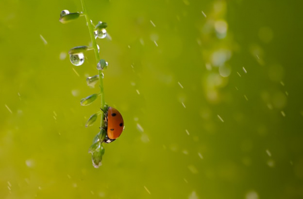 535A8416-762C-42AD-B2EE-6AB398C29F00.jpeg 535A8416-762C-42AD-B2EE-6AB398C29F00.jpeg