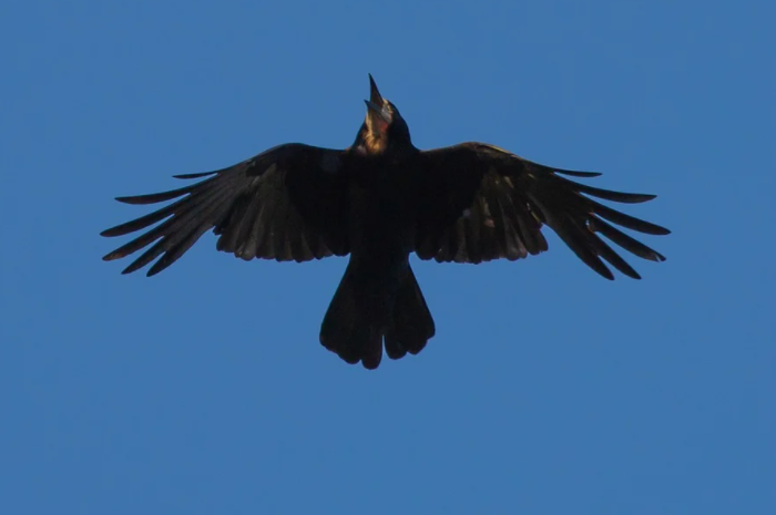 Снимок.PNG Снимок.PNG