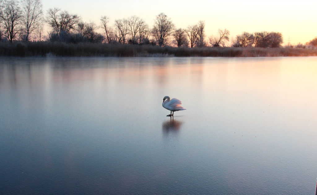 iR2IbFrlhA8.jpg iR2IbFrlhA8.jpg