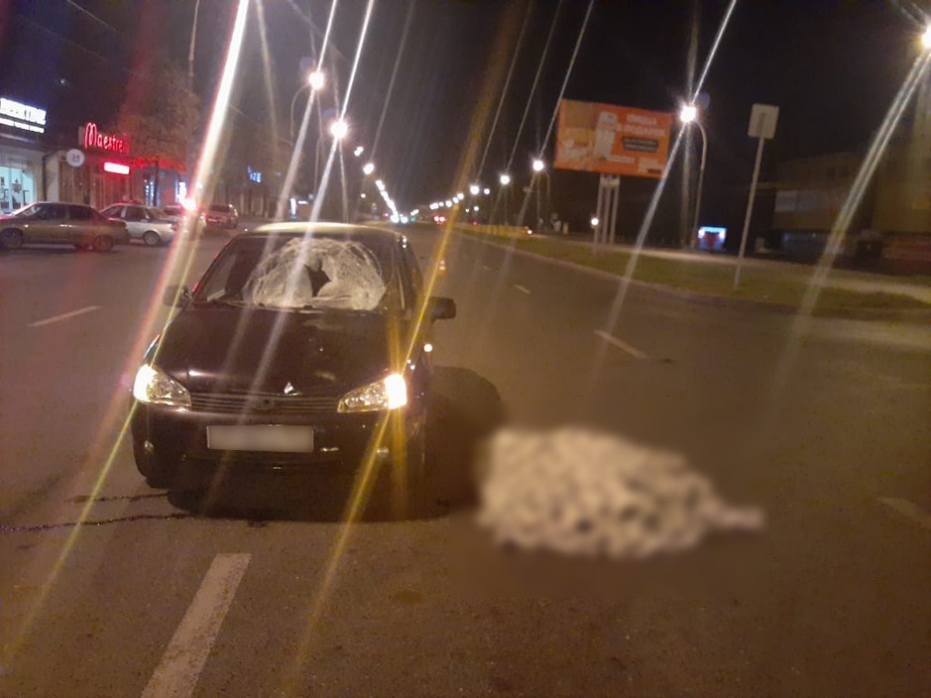 02768F7D-3507-4274-962C-912A3D3F8521.jpeg 02768F7D-3507-4274-962C-912A3D3F8521.jpeg