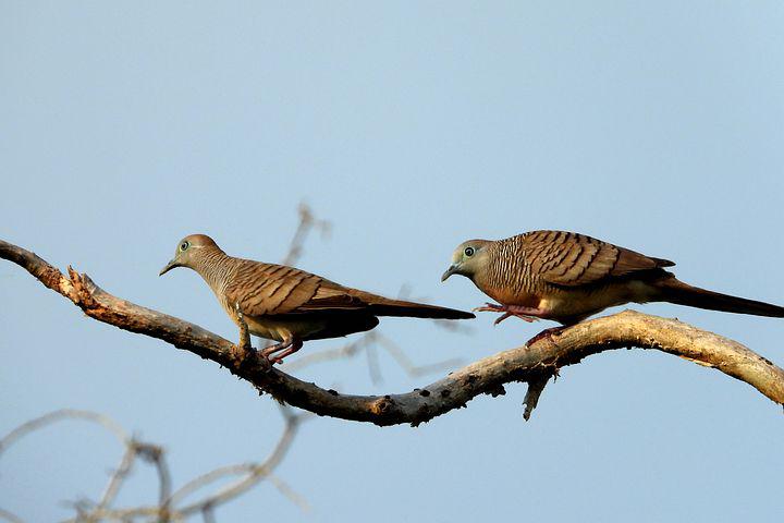 E410AEE3-9D48-40BA-82BA-60307DF7C857.jpeg E410AEE3-9D48-40BA-82BA-60307DF7C857.jpeg