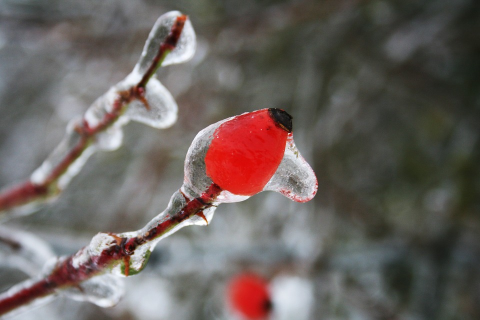 freezing-rain-388933_960_720.jpg