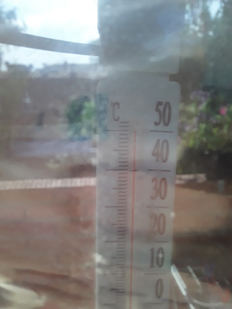 Марина Кинель-Черкассы.jpg