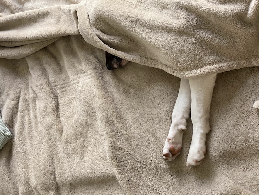 F50C4DF5-7721-437D-B58D-B0F93E2203AF.jpeg F50C4DF5-7721-437D-B58D-B0F93E2203AF.jpeg