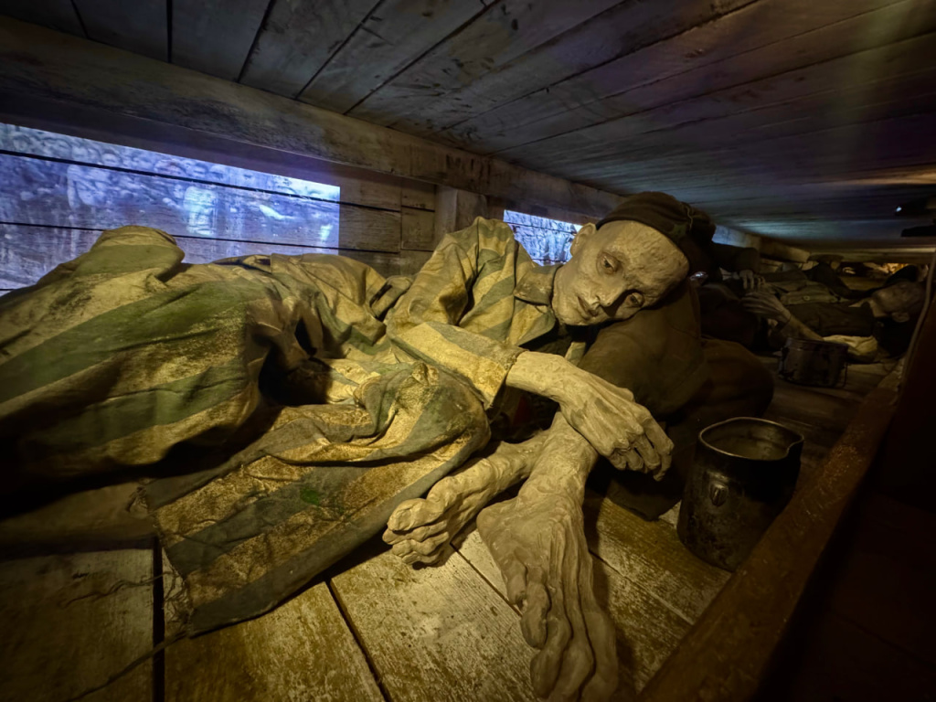 photo_2025-07-24_16-44-40 (3).jpg