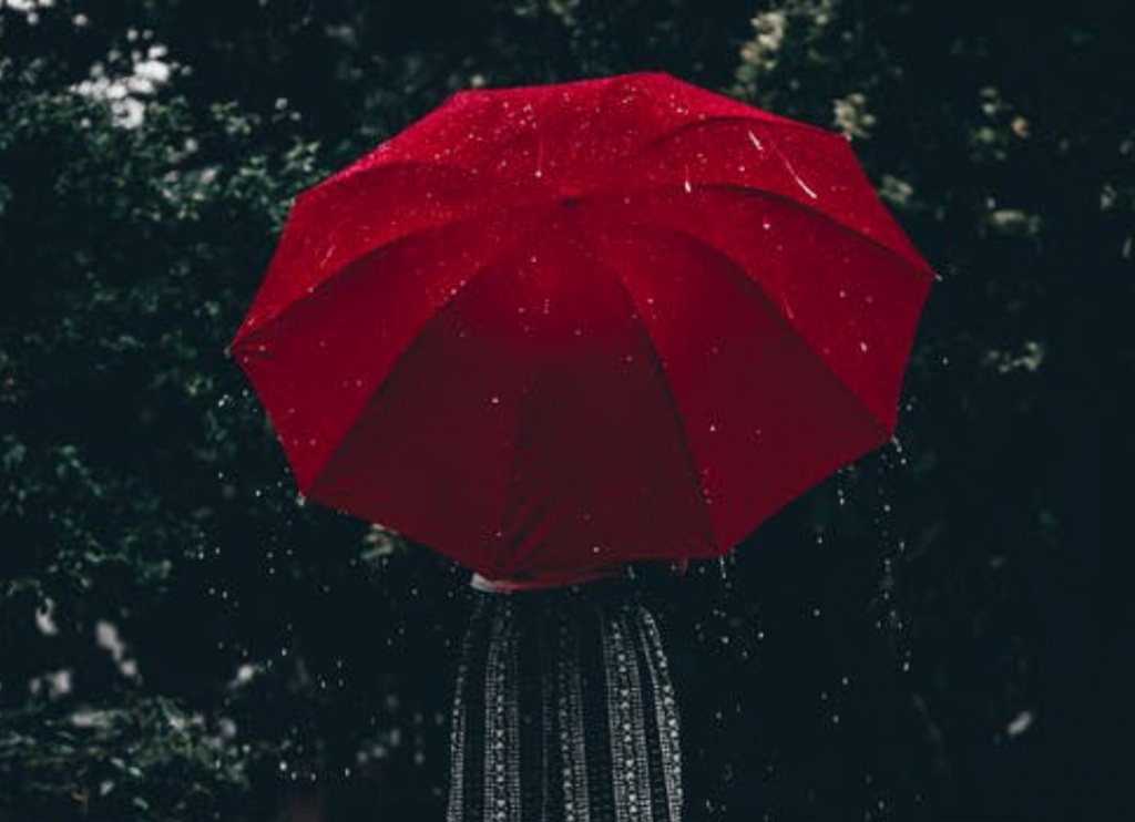 21AF8284-C762-414F-A4AD-38C40FC8D38C.jpeg 21AF8284-C762-414F-A4AD-38C40FC8D38C.jpeg