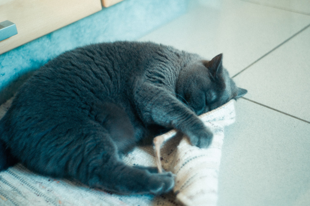 CD7737E4-1823-4937-AB25-6678F42C9154.jpeg CD7737E4-1823-4937-AB25-6678F42C9154.jpeg