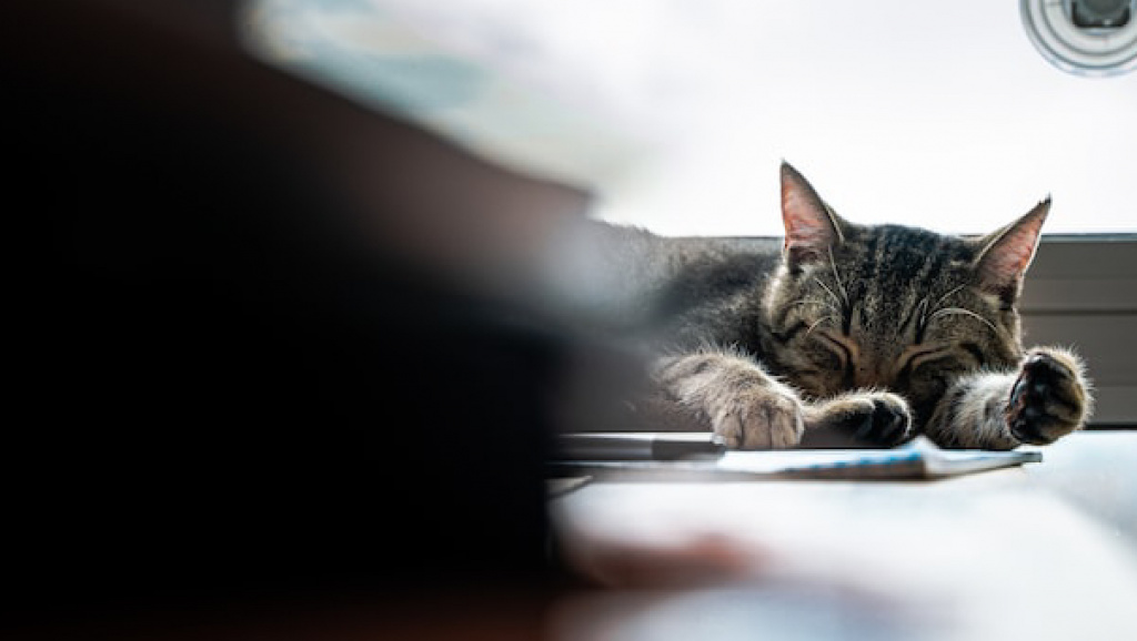 30FF8E3F-3EC0-4788-93FB-10D0C73CE755.jpeg 30FF8E3F-3EC0-4788-93FB-10D0C73CE755.jpeg