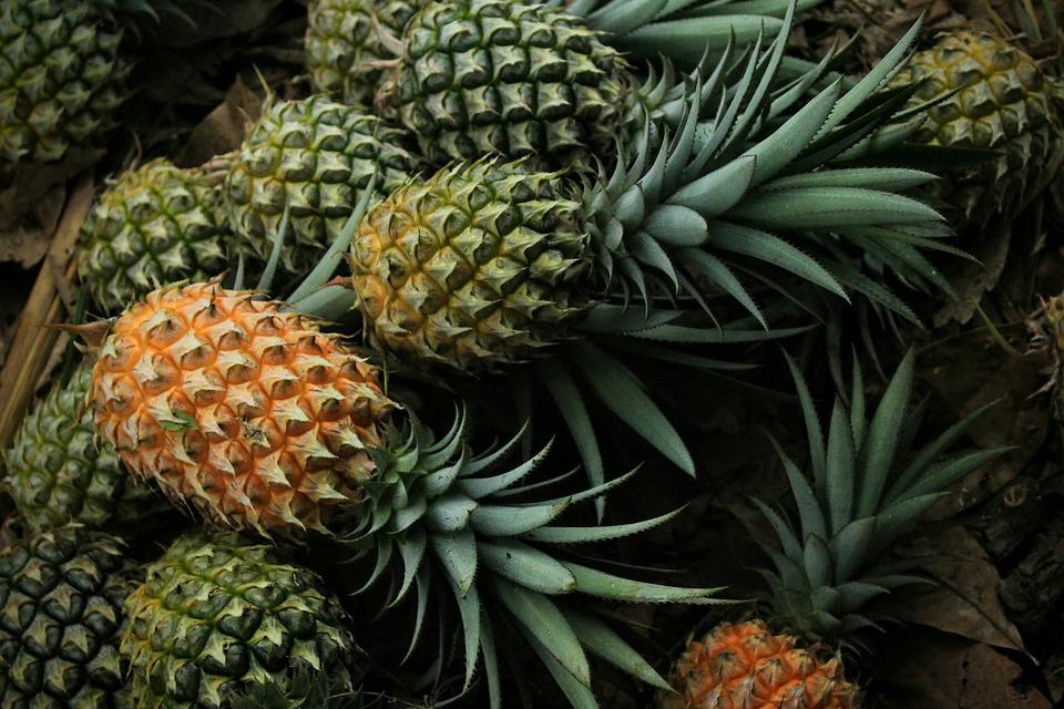 pineapple-3808963_960_720.jpg
