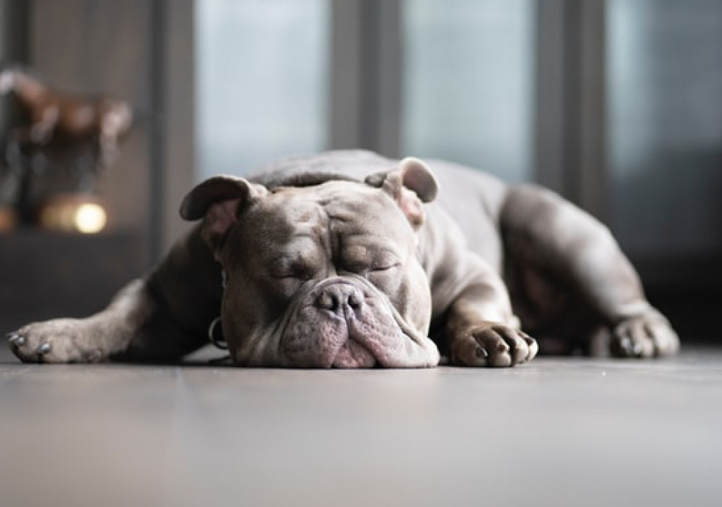 7F023528-A467-468D-9F2B-F9EF324751A0.jpeg 7F023528-A467-468D-9F2B-F9EF324751A0.jpeg