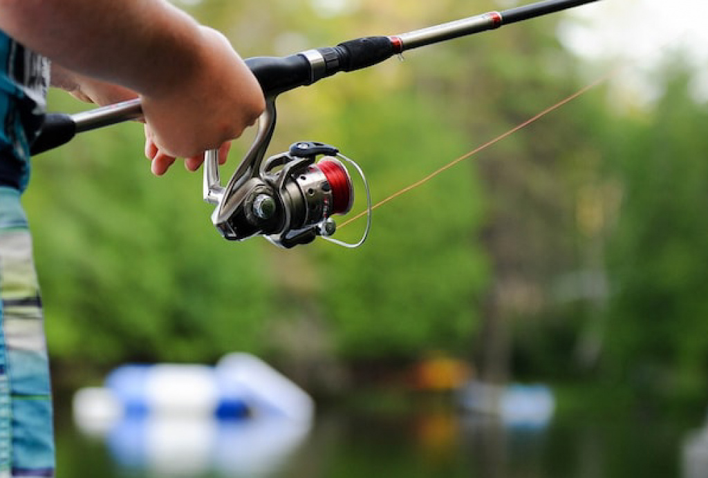 8C836365-8C07-48FB-A8BA-F00202E4A69E.jpeg 8C836365-8C07-48FB-A8BA-F00202E4A69E.jpeg