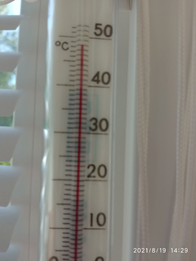 Елена Пенкина.jpg